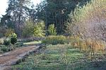     
: IMG_2403.jpg
: 10
:	112.3 
ID:	5051515