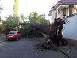     
: IMG_20121022_093726.jpg
: 47
:	123.4 
ID:	5052002