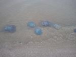     
: 2012-10-23 13.57.32.jpg
: 19
:	200.0 
ID:	5057507