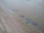     
: 2012-10-23 13.57.44.jpg
: 18
:	189.9 
ID:	5057512