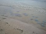     
: 2012-10-23 14.00.21.jpg
: 21
:	162.7 
ID:	5057513