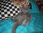     
: DSCN7296.jpg
: 2
:	140.2 
ID:	5061181