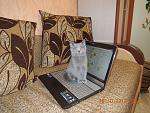    
: DSCN7289.jpg
: 5
:	234.2 
ID:	5061444
