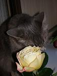     
: PA240005.jpg
: 2
:	67.8 
ID:	5063561