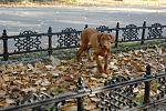    
: DSC03195_forum.jpg
: 8
:	159.3 
ID:	5064086