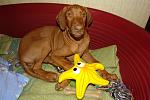     
: DSC03228_forum.jpg
: 8
:	293.8 
ID:	5064088
