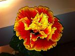     
: IMG_1144.jpg
: 7
:	130.6 
ID:	5065819