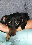     
: sleeping-4.jpg
: 111
:	50.5 
ID:	506906
