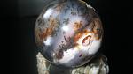     
: dendr opal 5.jpg
: 16
:	69.6 
ID:	5071506