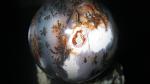     
: dendr opal 2.jpg
: 15
:	57.7 
ID:	5071514
