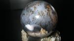     
: dendr opal 4.jpg
: 23
:	62.1 
ID:	5071521