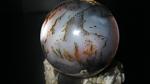     
: dendr opal 3.jpg
: 14
:	57.9 
ID:	5071527
