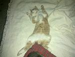     
: 09102012328.jpg
: 73
:	109.4 
ID:	5071668