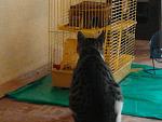     
: 2012-10-26 12.53.58.jpg
: 5
:	100.1 
ID:	5073862
