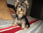     
: IMG_2804.jpg
: 19
:	134.4 
ID:	5074022