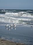     
: IMG_5309.jpg
: 30
:	73.6 
ID:	5081566