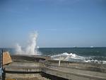     
: IMG_5322.jpg
: 17
:	81.5 
ID:	5081568