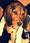     
: download (2).jpg
: 13
:	241.3 
ID:	5084632
