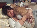     
: 20121028_140912.jpg
: 7
:	123.4 
ID:	5085932