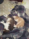     
: 20121028_173938.jpg
: 5
:	120.3 
ID:	5085935