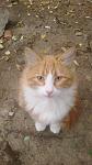     
: 2012-10-29-086.jpg
: 9
:	75.8 
ID:	5088894