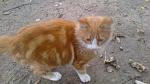     
: 2012-10-29-071.jpg
: 9
:	115.5 
ID:	5088897