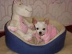     
: x_1487bfad.jpg
: 87
:	40.2 
ID:	509137