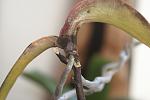     
: DSC05510.jpg
: 10
:	67.1 
ID:	5091904