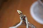     
: DSC05764.jpg
: 6
:	44.9 
ID:	5091905