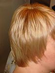     
: DSC05317.jpg
: 10
:	80.6 
ID:	5093683