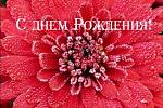     
: images (1).jpg
: 5
:	16.0 
ID:	5094590