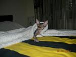     
: DSCN3891.JPG
: 12
:	70.0 
ID:	5094997