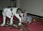     
: DSCN3856.jpg
: 9
:	121.2 
ID:	5095032