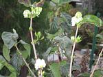     
: IMG_5520.jpg
: 8
:	127.9 
ID:	5097331