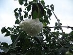     
: IMG_5518.jpg
: 8
:	126.7 
ID:	5097332
