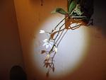     
: GEDC31876.jpg
: 10
:	91.2 
ID:	5097351