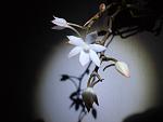     
: GEDC21872.jpg
: 8
:	66.3 
ID:	5097352