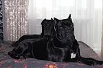     
: IMG_9502.jpg
: 101
:	85.7 
ID:	5105188