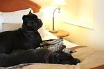     
: IMG_8655.jpg
: 9
:	71.5 
ID:	5105262