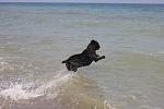     
: IMG_8509.jpg
: 8
:	116.8 
ID:	5105627