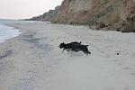     
: IMG_9431.jpg
: 9
:	82.6 
ID:	5105660