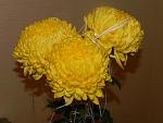     
: DSCN1582.jpg
: 29
:	105.9 
ID:	5105675