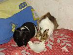    
: DSC01763.JPG
: 12
:	149.1 
ID:	5106667