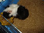     
: DSC01996.JPG
: 14
:	140.9 
ID:	5106739