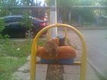     
: moto_0020.jpg
: 25
:	141.7 
ID:	5107398