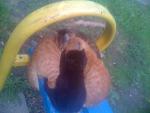     
: moto_0022.jpg
: 28
:	131.6 
ID:	5107399