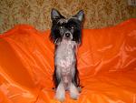     
: Портретик. 4 мес.JPG
: 18
:	152.9 
ID:	5107936