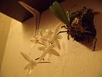     
: GEDC1889.jpg
: 9
:	76.6 
ID:	5109240