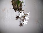     
: GEDC1877.jpg
: 10
:	111.4 
ID:	5109241