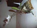     
: GEDC1883.jpg
: 9
:	115.6 
ID:	5109242